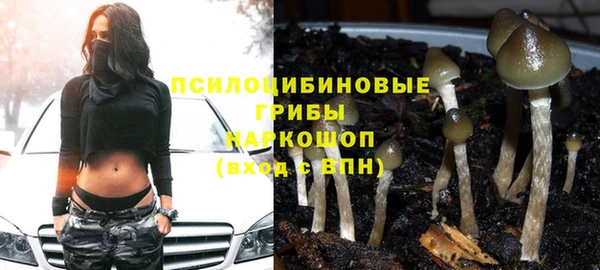 прущая мука Верхний Тагил