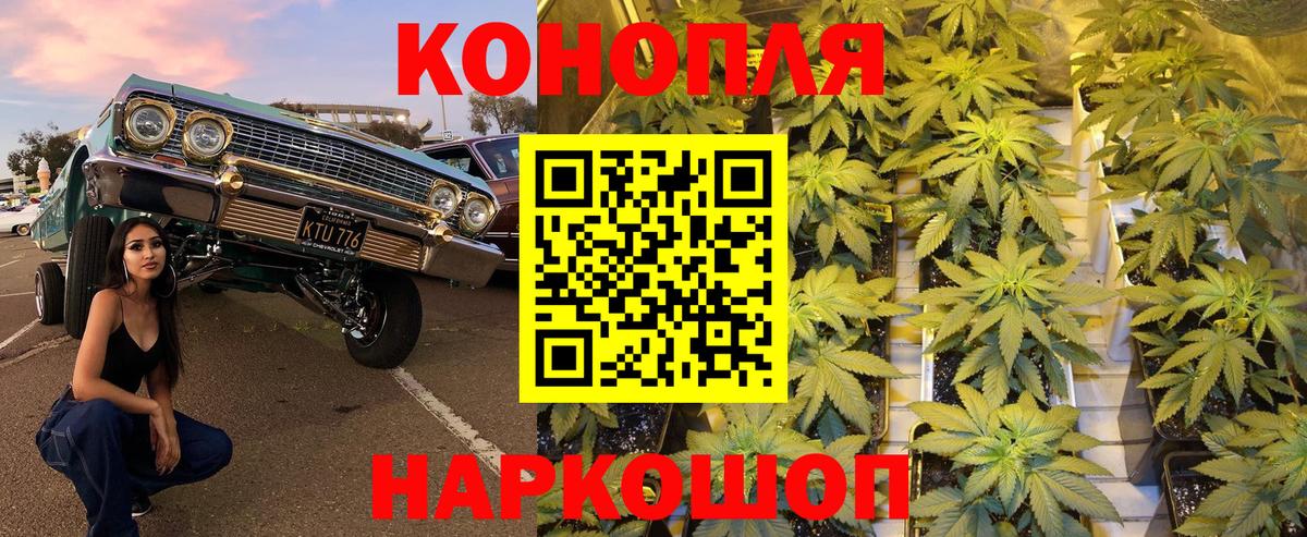 Шишки марихуана семена  Вход с VPN  Шишки марихуана Bruce Banner  Воткинск  Каннабис THC 21% 